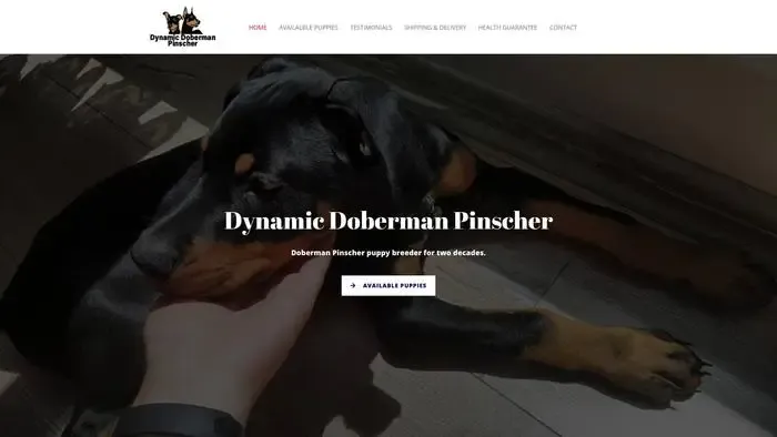 Screenshot of