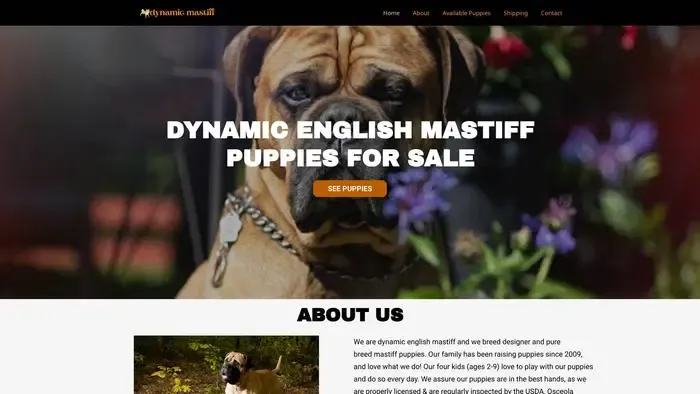 Screenshot of