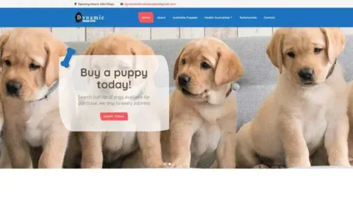 Screenshot of