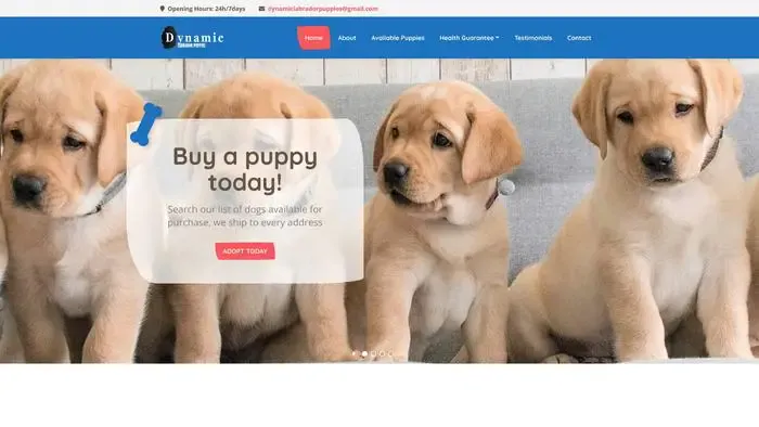 Screenshot of