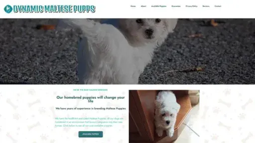 Screenshot of