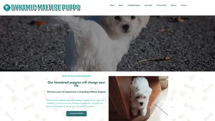 Screenshot of