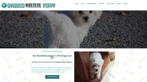Screenshot of