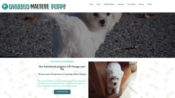 Screenshot of