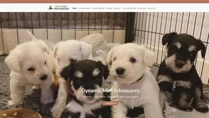 Screenshot of