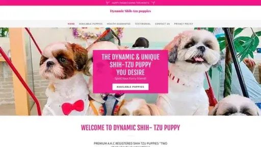 Screenshot of