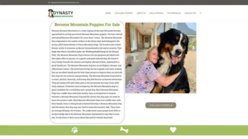 Screenshot of||