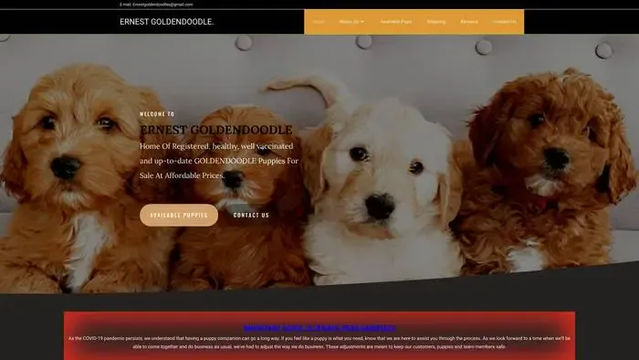 Screenshot of