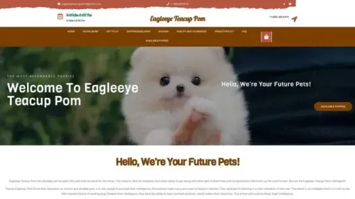 Screenshot of