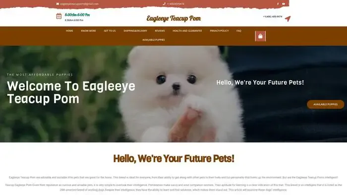 Screenshot of