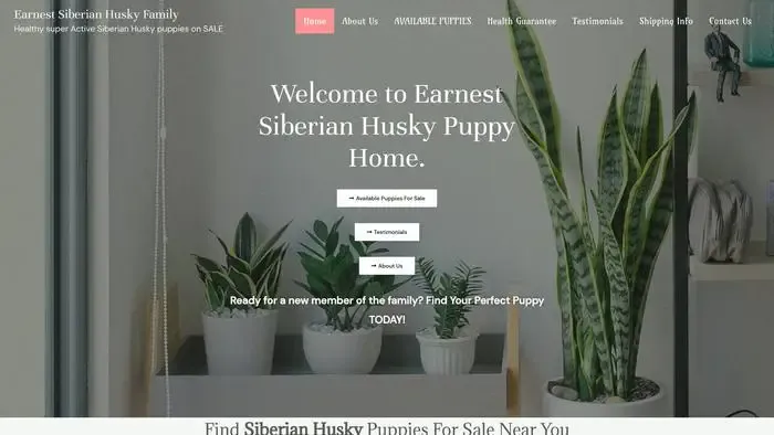 Screenshot of
