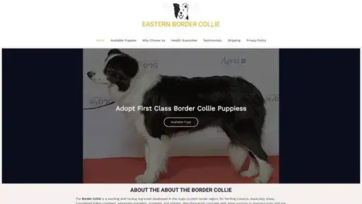 Screenshot of