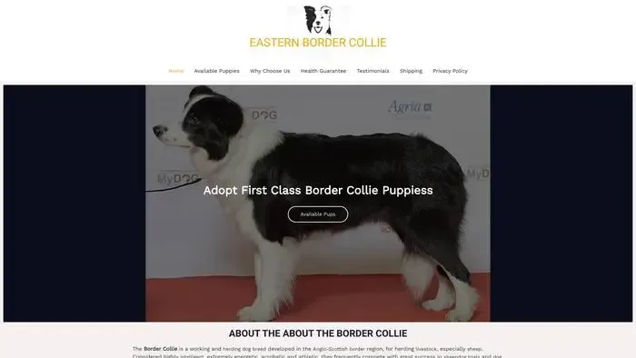 Screenshot of