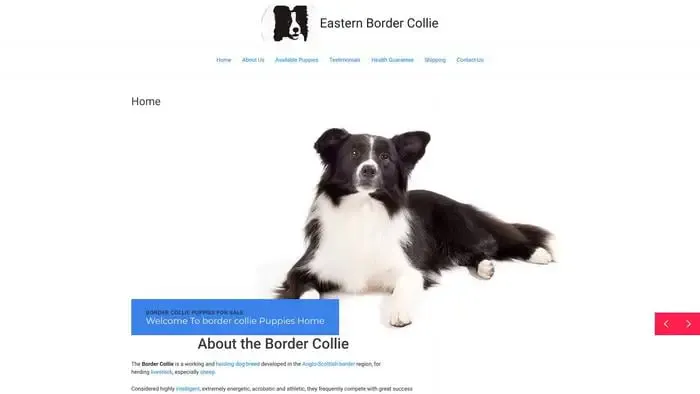 Screenshot of