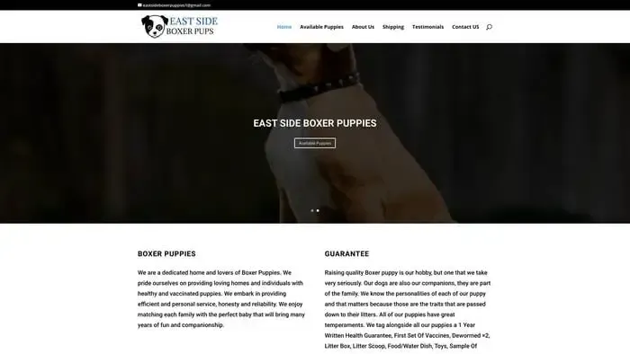 Screenshot of