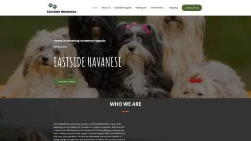 Screenshot of