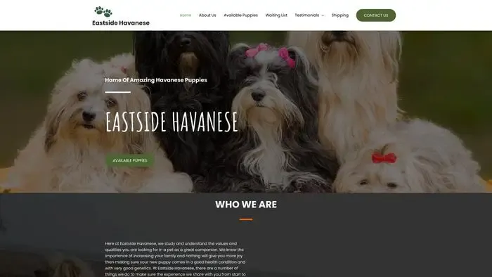 Screenshot of
