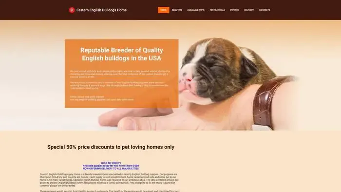 Screenshot of