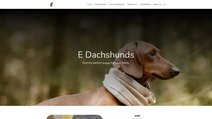 Edachshunds
