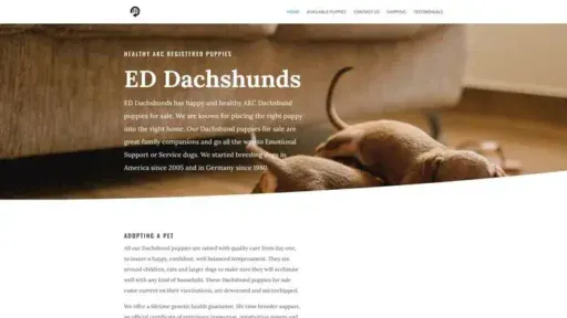 Screenshot of