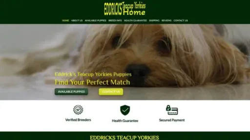 Screenshot of||