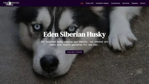Screenshot of