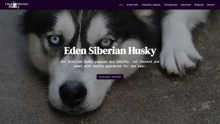Screenshot of