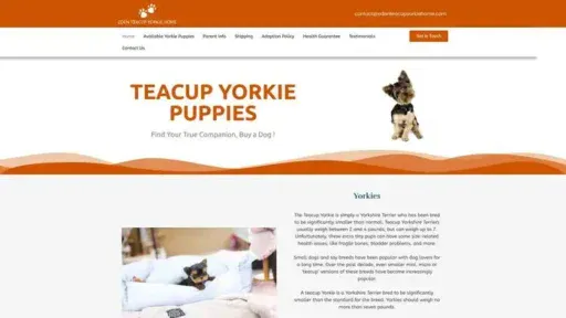 Screenshot of