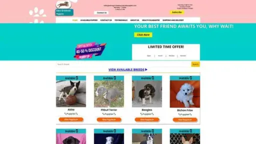 Screenshot of