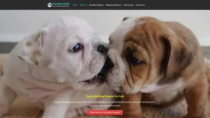 Screenshot of