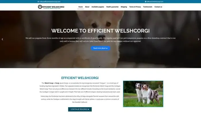 Screenshot of