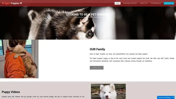 Screenshot of