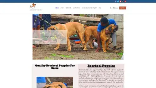 Screenshot of