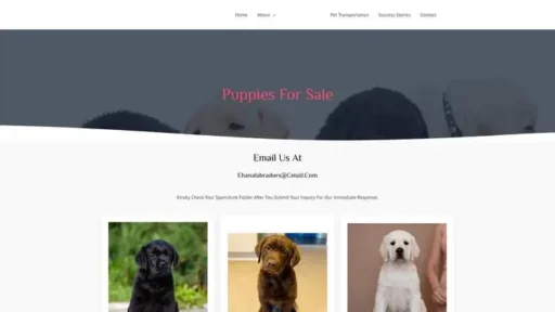 Screenshot of