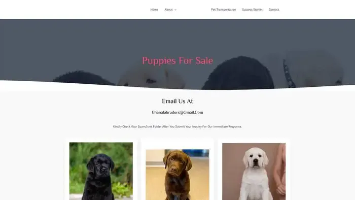 Screenshot of