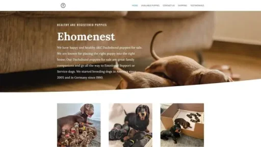 Screenshot of