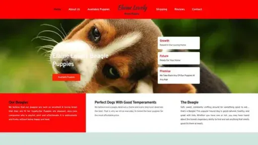 Screenshot of