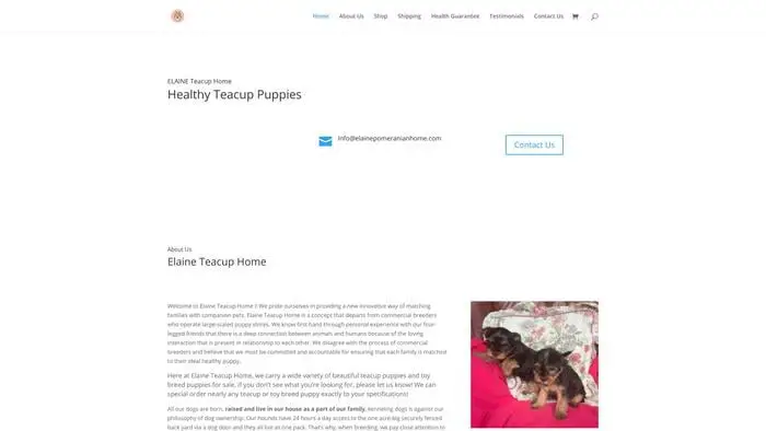 Screenshot of