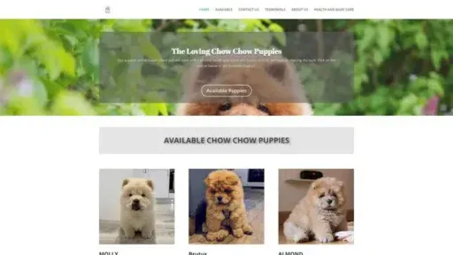 Screenshot of