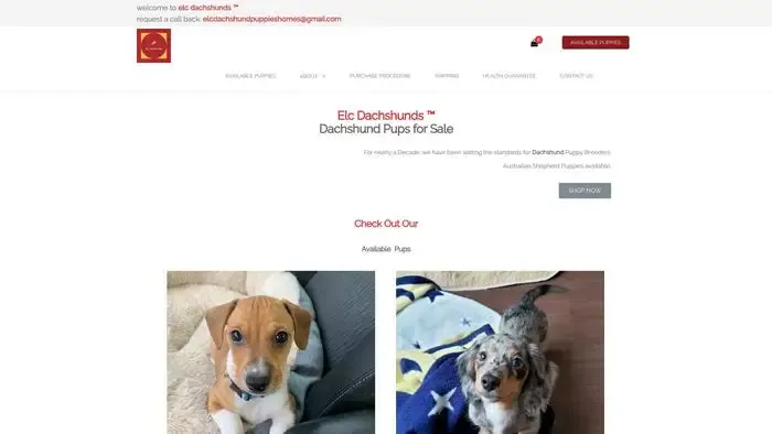 Screenshot of