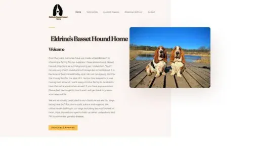Screenshot of