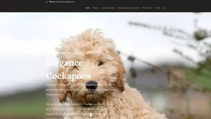 Screenshot of