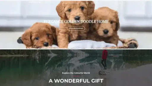 Screenshot of