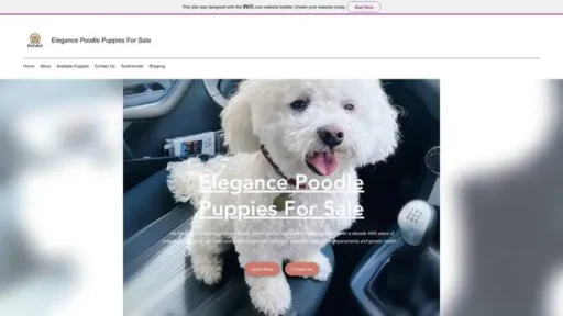 Screenshot of