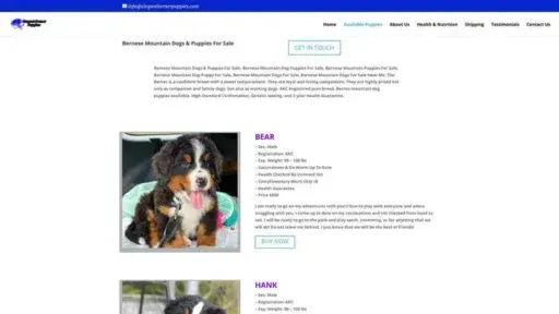 Screenshot of