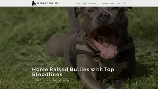 Screenshot of