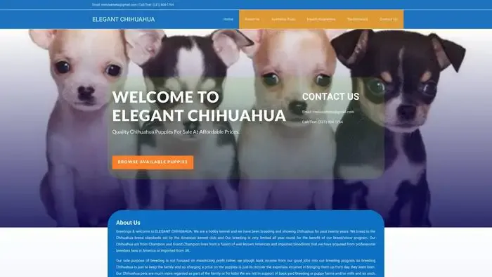 Screenshot of