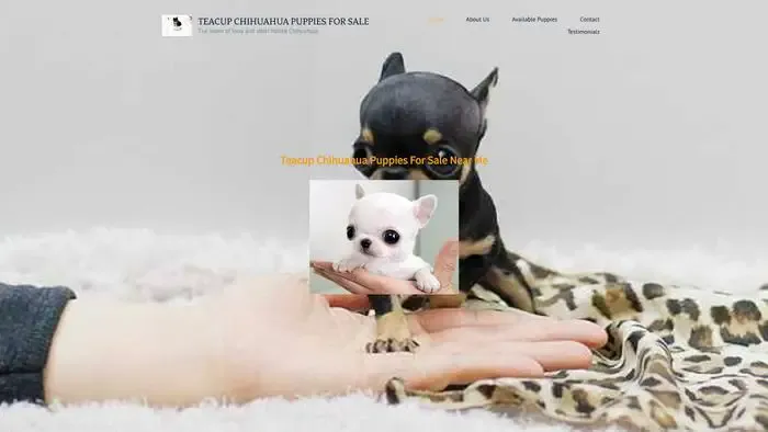 Screenshot of