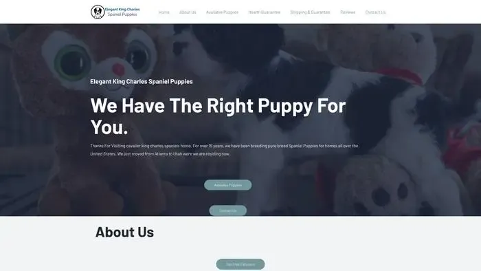 Screenshot of