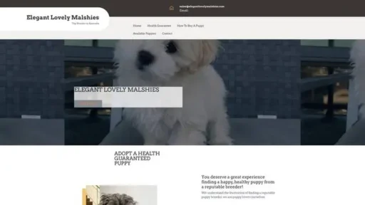 Screenshot of